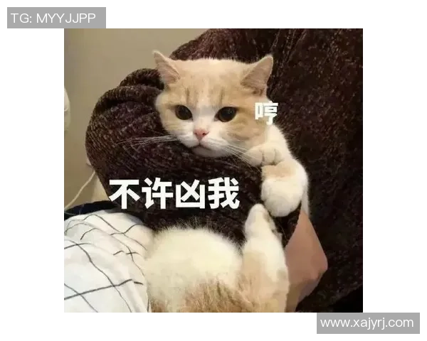 足球明星萌态大放送 可爱表情包让你笑翻天